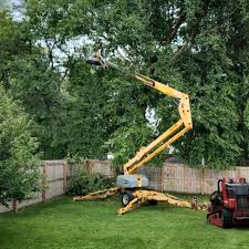 Best Leaf Removal  in Bladensburg, MD