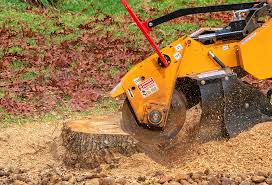 Reliable Bladensburg, MD Tree Removal Solutions